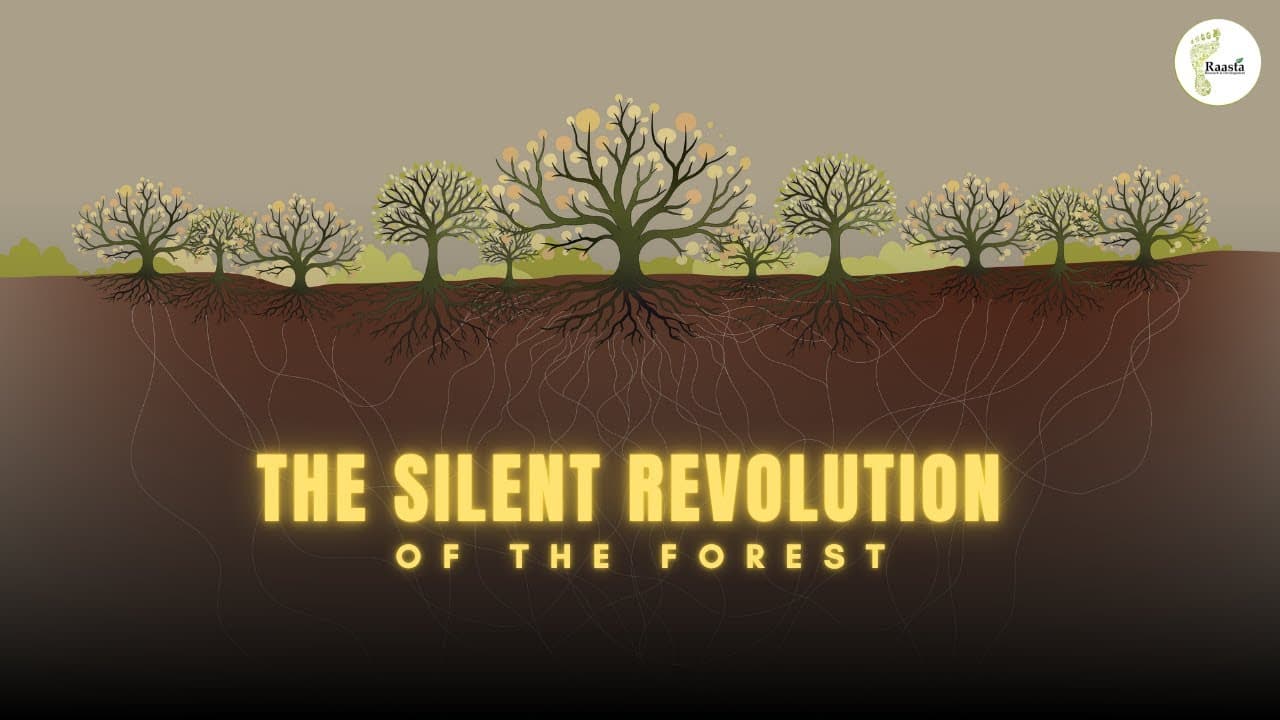 The Silent Revolution of the Forest