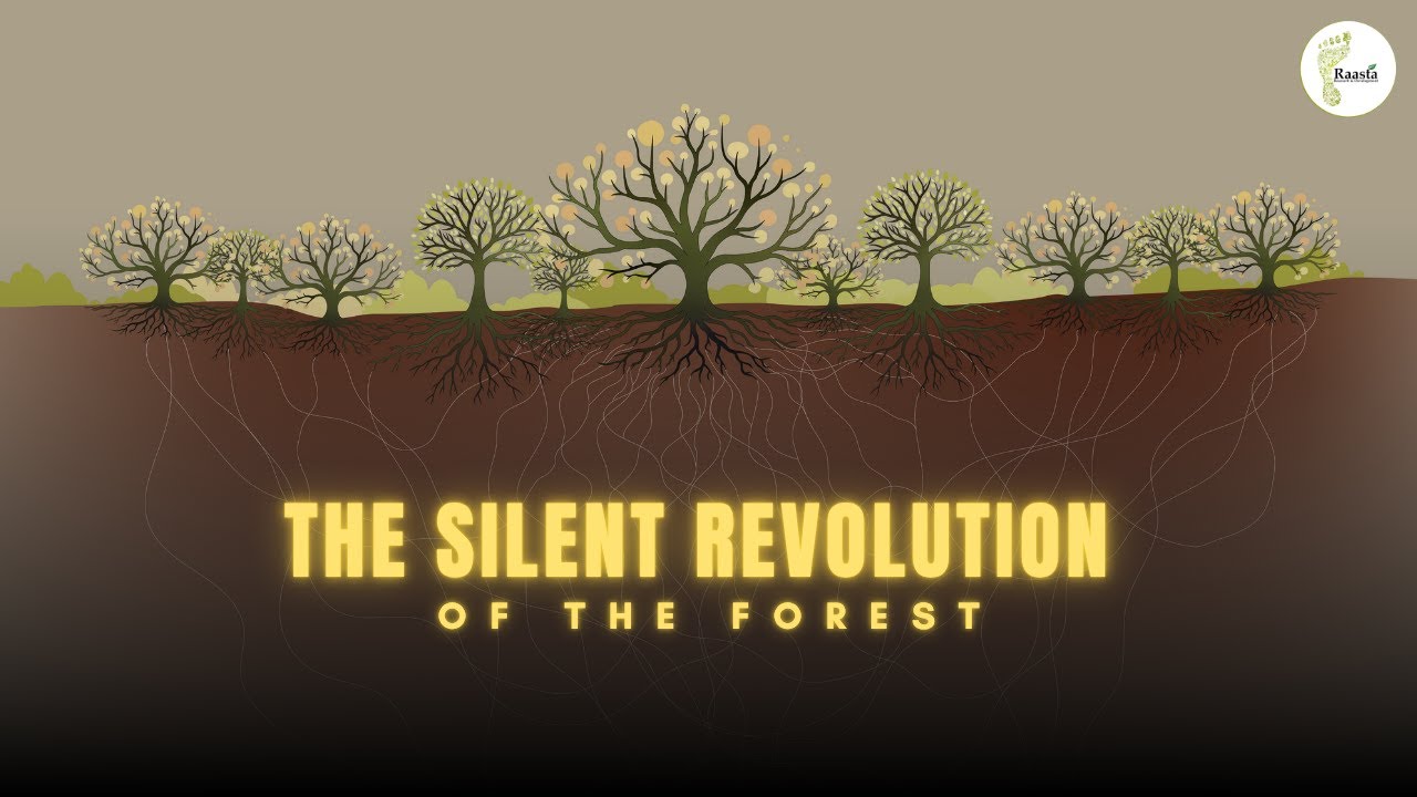 Thumbnail for video: The Silent Revolution of the Forest