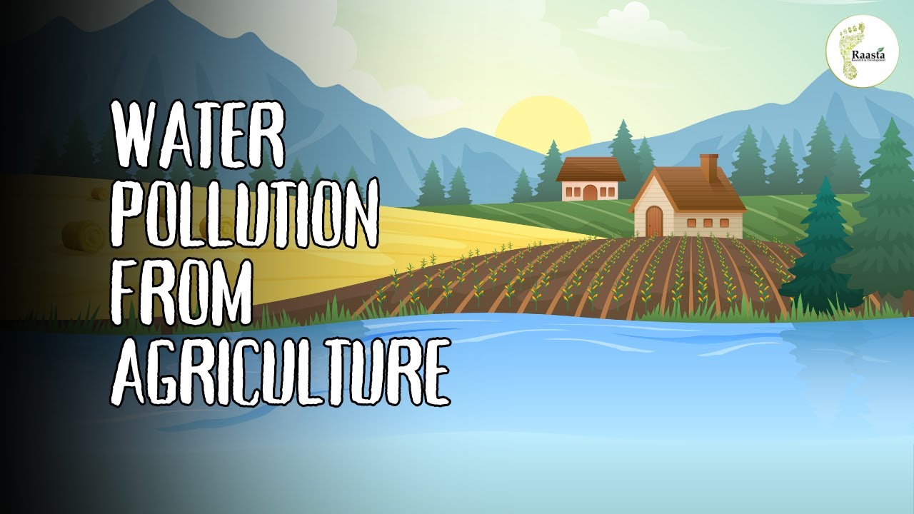 Thumbnail for video: Water Pollution from Agriculture